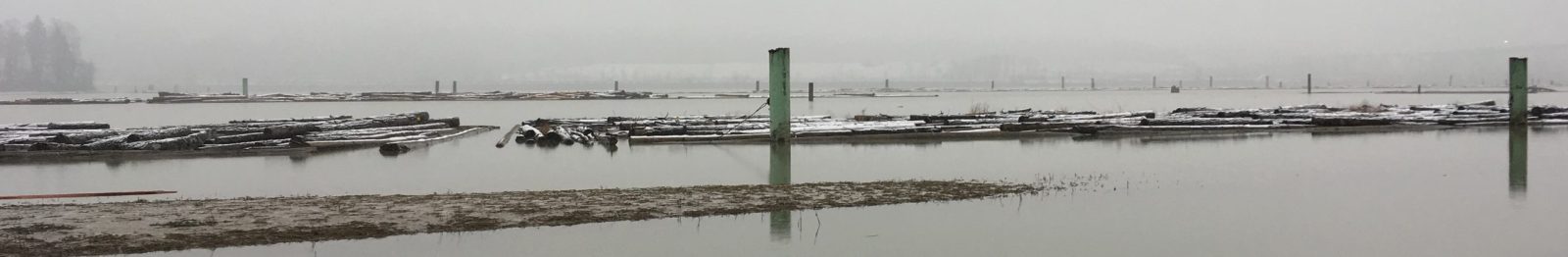 IMG_6315